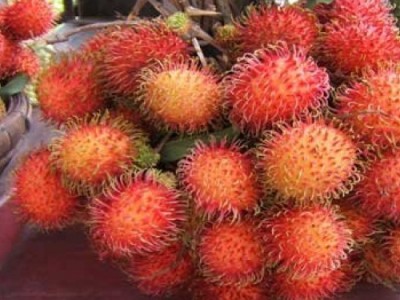 Chôm Chôm NhảnHình2